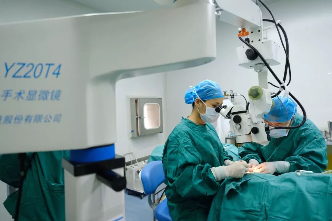 上林小雅莉安装义眼手术成功理想长大了当记者上林时空