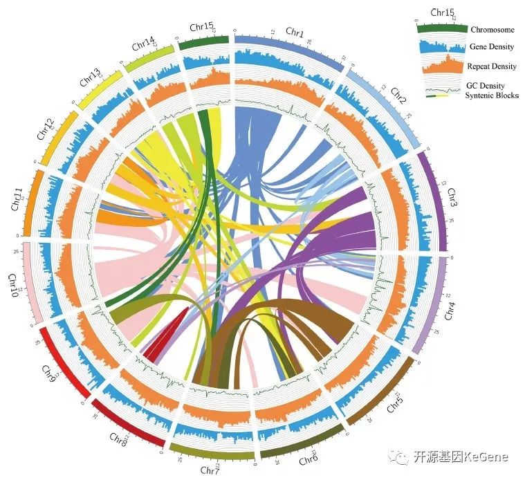 大事记丨文冠果基因组终获破译!_分析