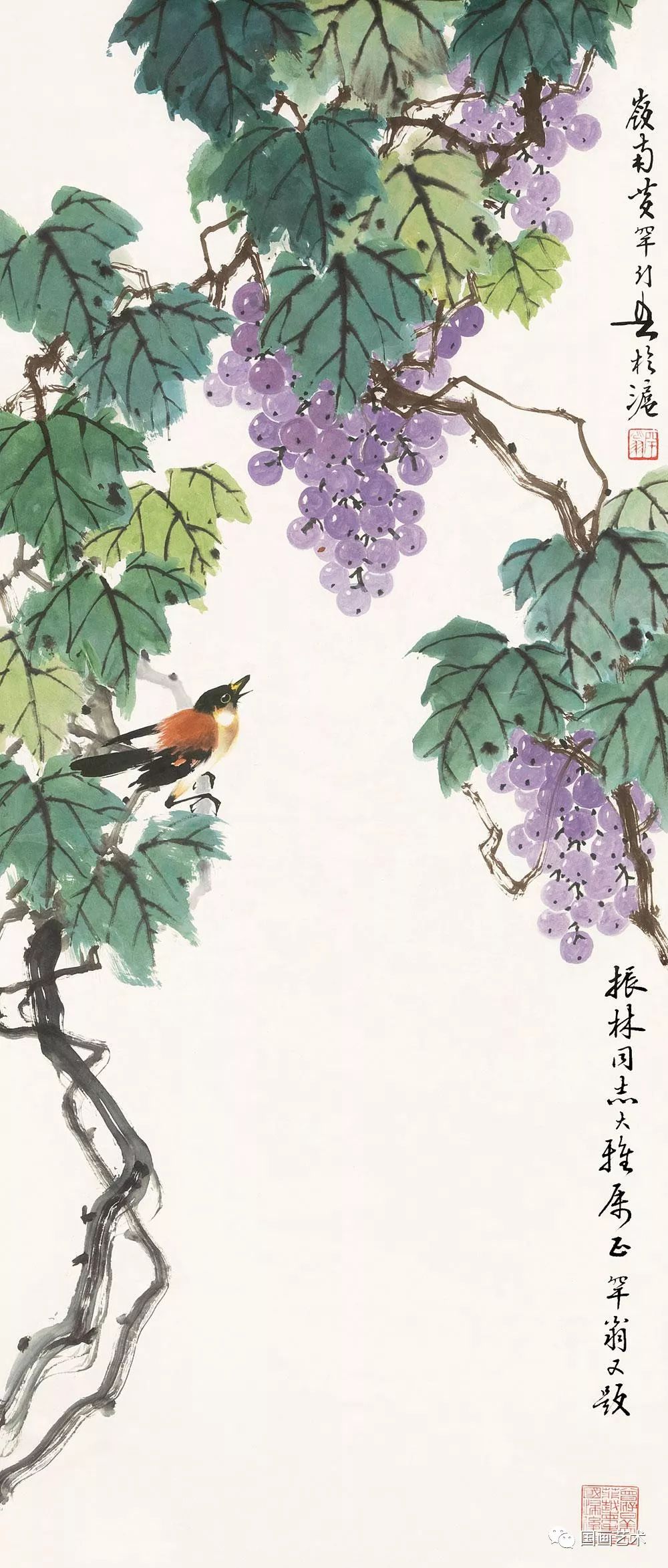 现当代名家黄幻吾笔下的葡萄小鸟