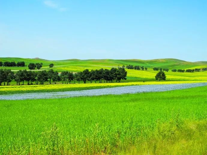 进入这么一个层次起伏,有山有水的生态大草原,您仿佛降临到传说中的