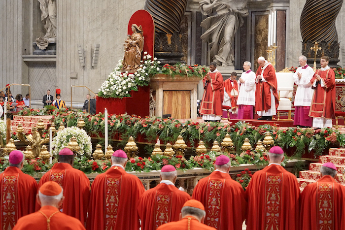 教宗主持弥撒教宗与牧杖教宗戴着披肩教宗主持弥撒教宗主持弥撒枢机的