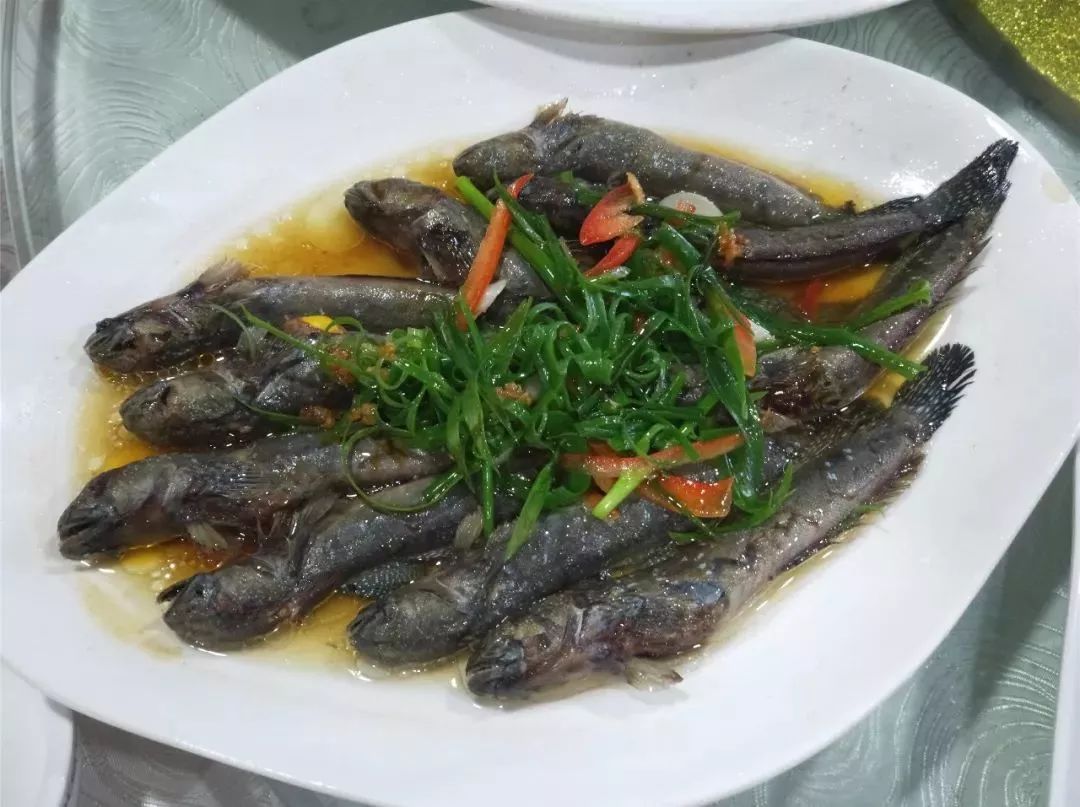 三千亩红旗养殖塘,鲜甜的小海鲜,青蟹,跳跳鱼,望潮,蛏子,鲻鱼