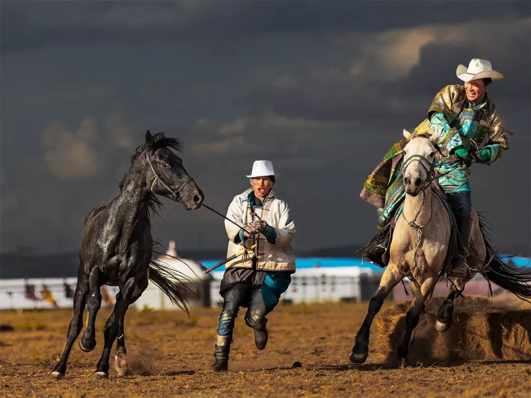 马主题摄影驯马