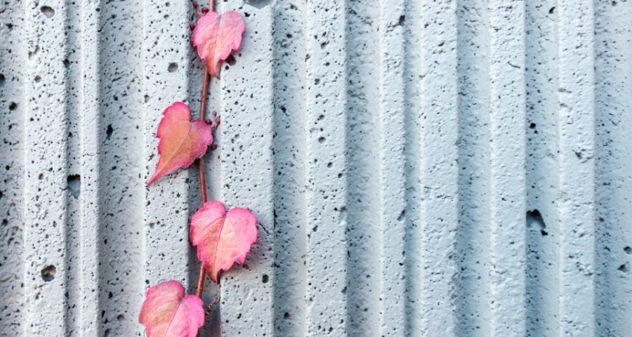 比家电市场下跌更严重的三大难题：用户和渠道皆失控，动力消失-家电圈官网