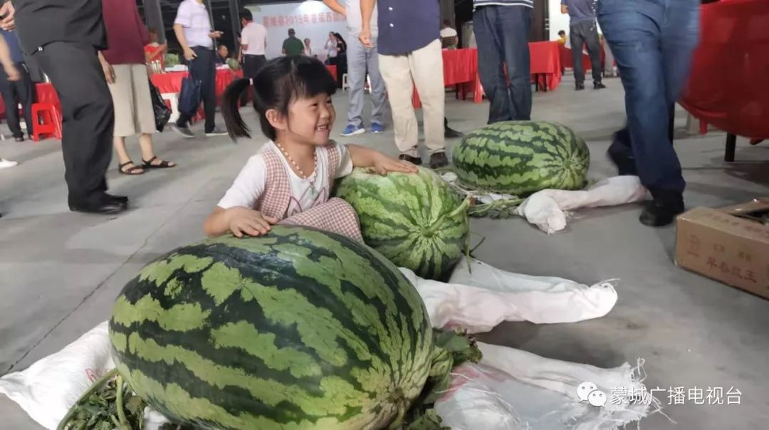 现场来了还不止一只这样的巨型西瓜更令人兴奋的是让在场不少瓜农都