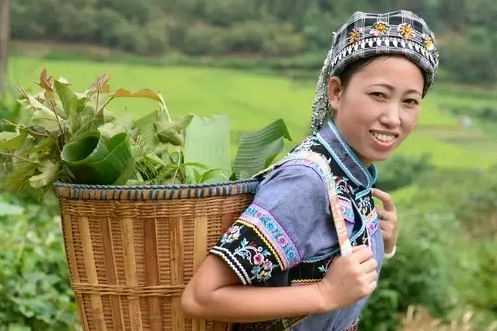 贵州兴义的布依族六月六五色糯米饭真的是原生态