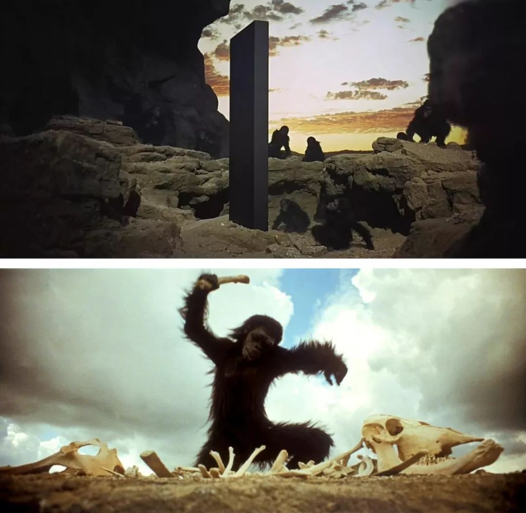 在著名科幻电影《2001太空漫游》里,第一个触摸"黑石"的猿人学会了