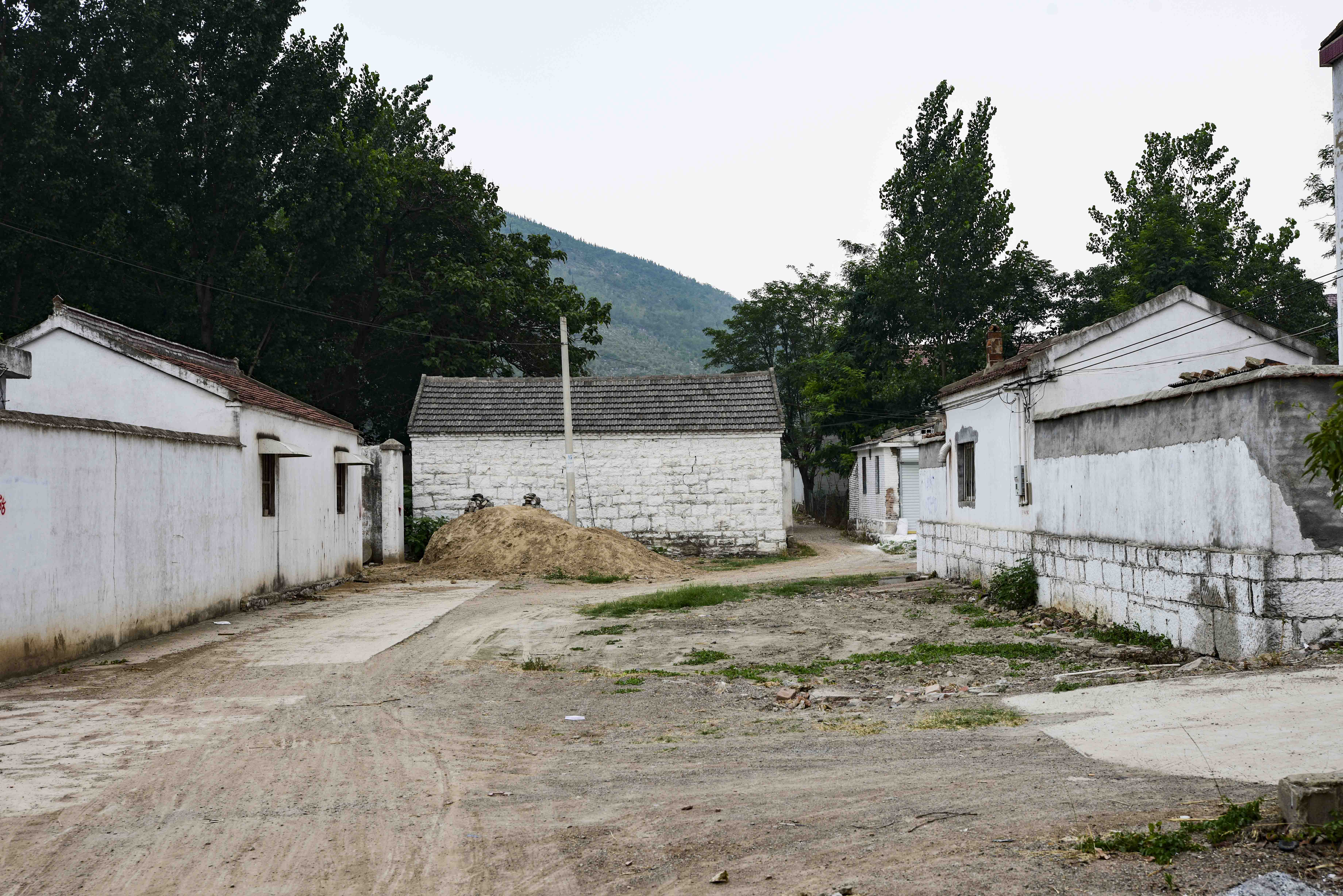 山西洪洞县移民,逃荒到微山湖南岸的柳新镇刘场村后张家井,迁到梁山南