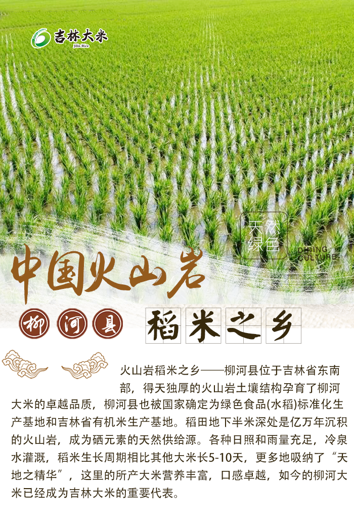 忍不住要骄傲了原来吉林大米品牌里竟隐藏着这么多王者