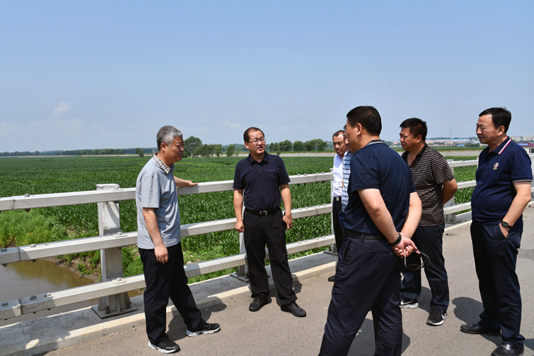 农安县县领导孙宁刘生贵带队检查河长制度汛工程和人居环境整治工作