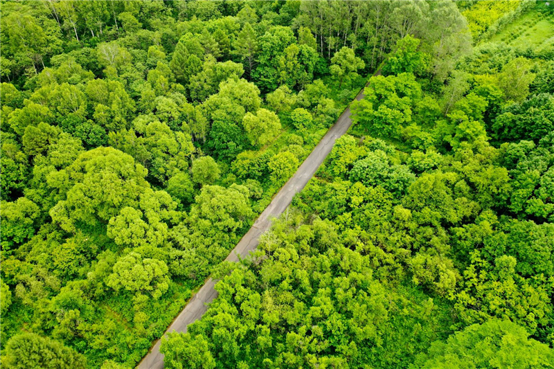 更绿色、更开放、更互联——在林交会感受林业发展新气象