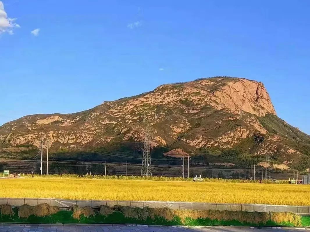 寻一路乡情带你走遍金沟屯镇