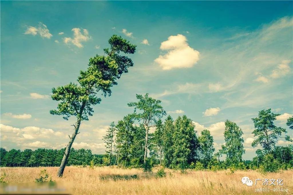 【人间百态】陈金祥:姑娘我在仙人湖,小子有种你就来