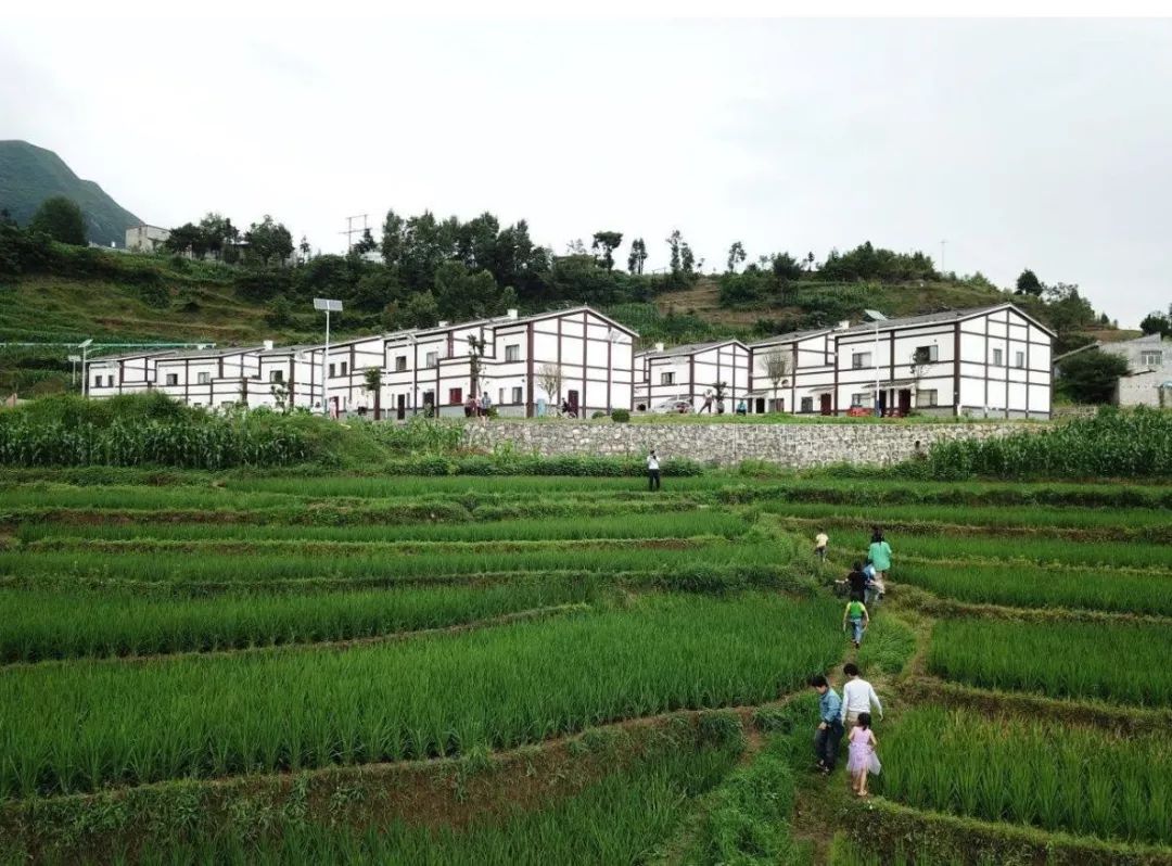 大方县小屯乡的山村变奏曲67