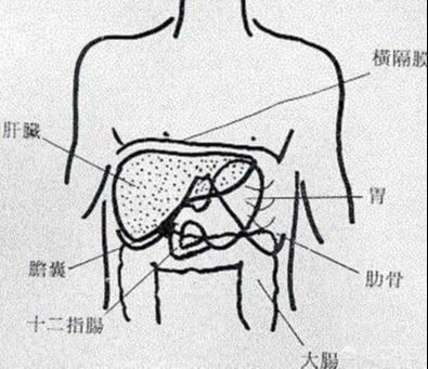 肝区隐痛在哪个位置图片