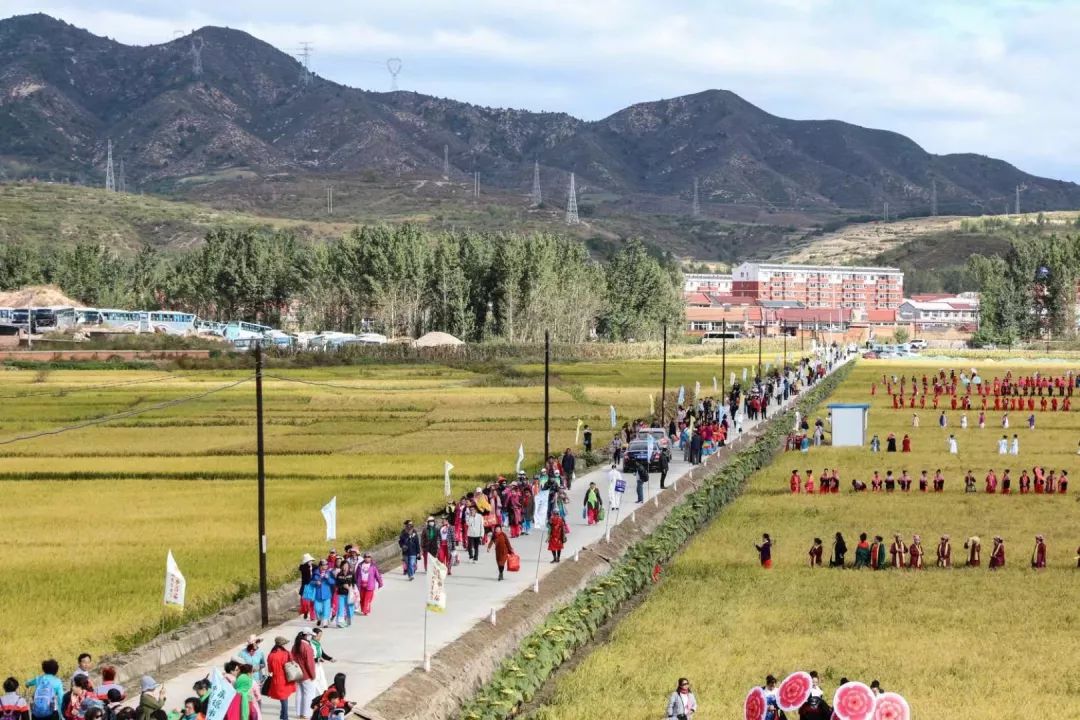 承德市首届农民丰收节在金沟屯镇中国hua大地艺术农创园举行.