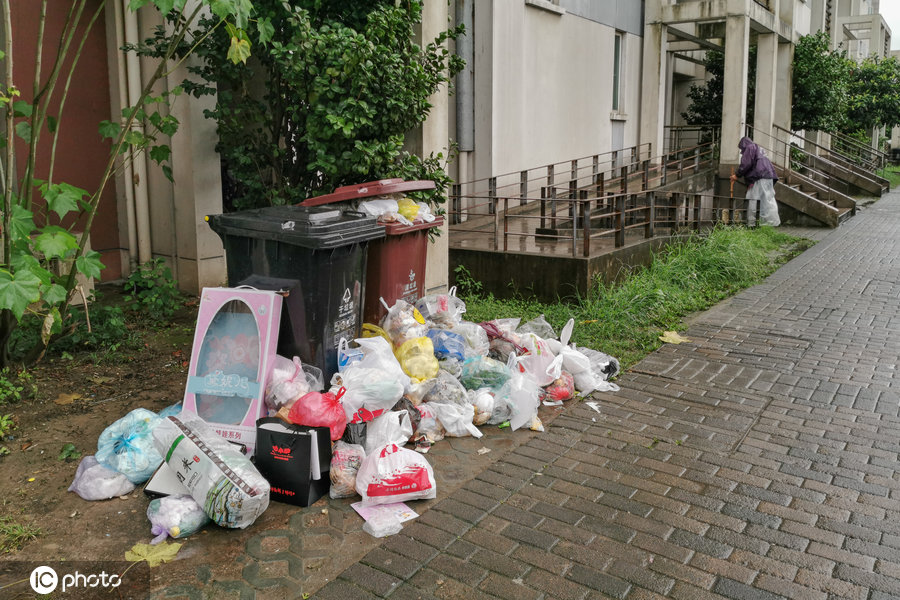 上海垃圾分类第10天,一小区湿垃圾扔满地,工作人员无能为力