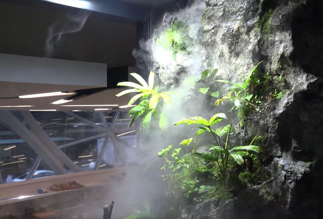 这个难度非常大因为白天室内平均温度要保持在22℃空气湿度尤为重要