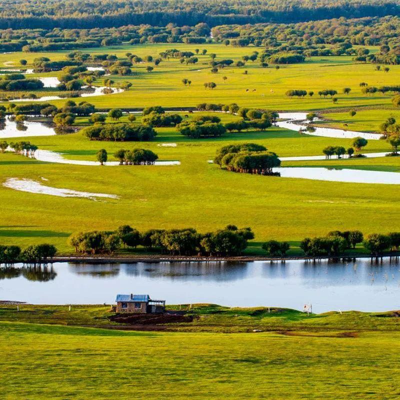 尼布楚条约》确认以额尔古纳河为中俄的界河,养育着两岸丰美的草原和