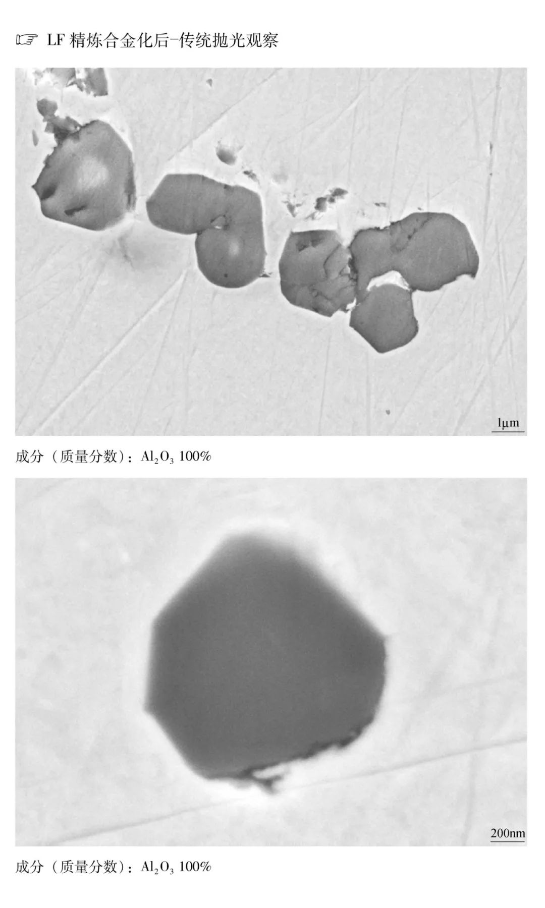 冷镦钢中非金属夹杂物图片欣赏