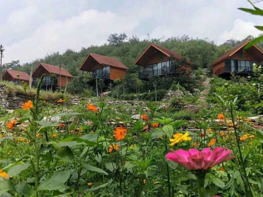 快乐老家爽爽鹤壁淇县古灵山周大生杯第十六届泼水狂欢节