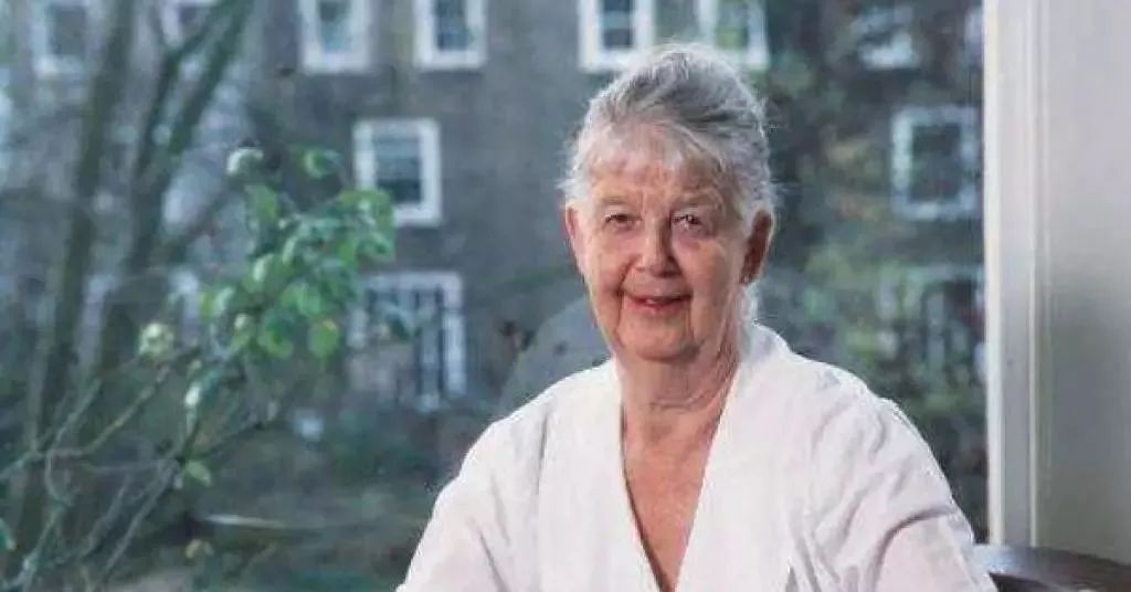 《迪克西的热气球之旅》作者 英国著名作家雪莉·休斯她是澳大利亚