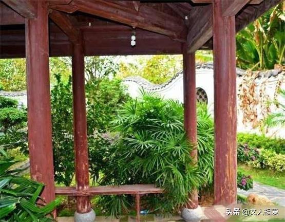 蒋章曾经工作生活的故居章亚若天生的丽质和超群的工作能力,深得