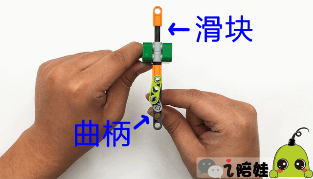 开团丨不管你买过多少乐高一定还缺这一套小颗粒组