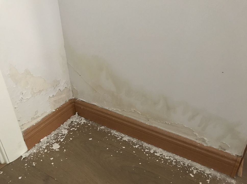 发现屋内隐约残留异味,业主家中靠主卧,次卧的墙角下均有黄色渗水痕迹