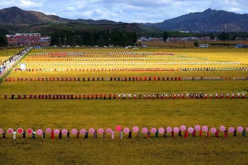 寻一路乡情带你走遍金沟屯镇