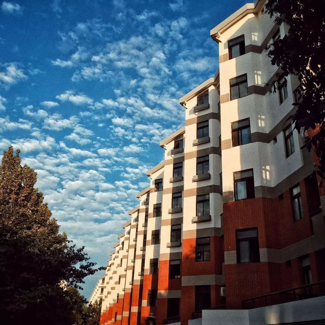 告别紫荆学生公寓,那里曾是最好的朋友们高谈阔论的地方.