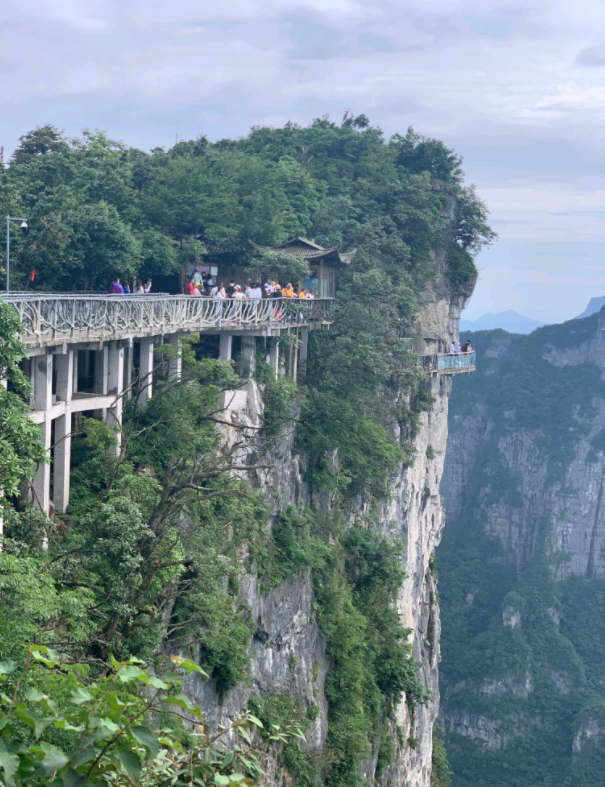 自驾去张家界需要多少费用(自驾车到张家界旅游攻略)