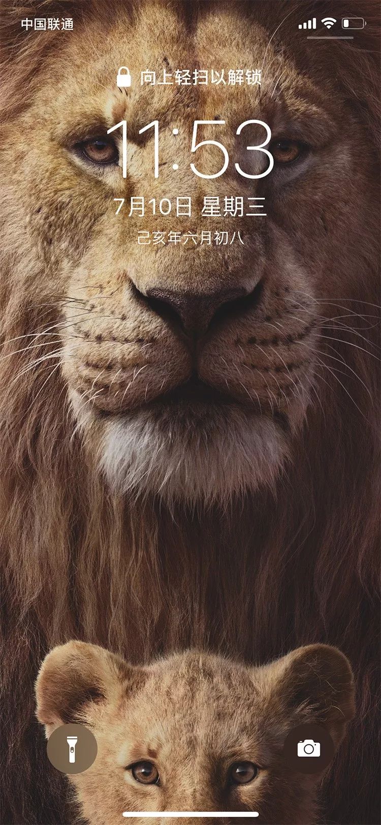 手机壁纸|迪士尼动画《狮子王》,我超凶哒!_辛巴