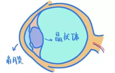 ok镜散光片是用来矫正散光的吗露晰得问答