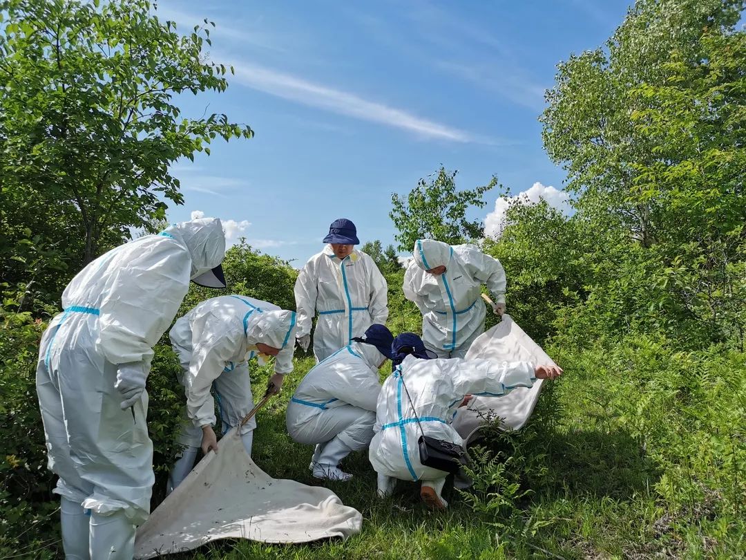 穿梭在边境线的白衣人