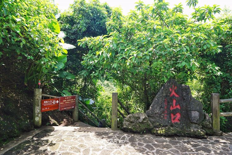 距海口僅15公里,成片遍佈火山口,中國火山研究的標本