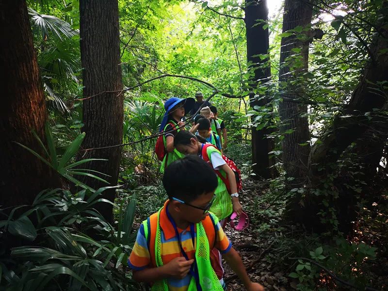 活动回顾史上最野大自然探险家夏令营