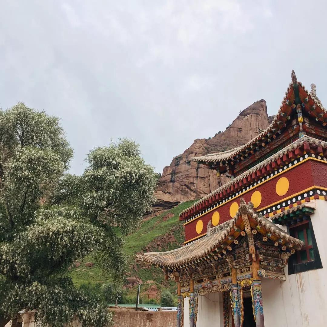 阿尼玛卿坛城转塔黄河源这里有你不知道的玛沁拉加寺