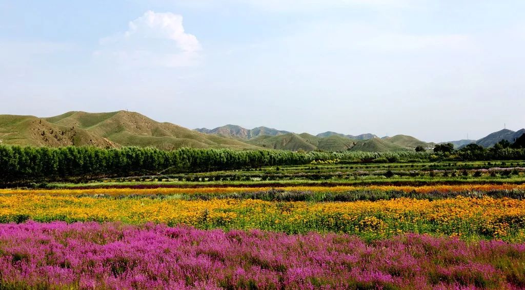 魅力石拐这个夏天就来这里她的名字叫石拐