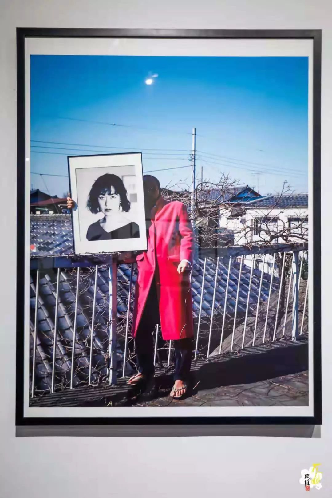 独家访问丨荒木经惟你们看到的是情色我看到的是生死