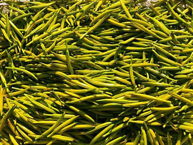 "让黄花靓起来,让农户富起来"—盐池举办黄花菜产业发展论坛