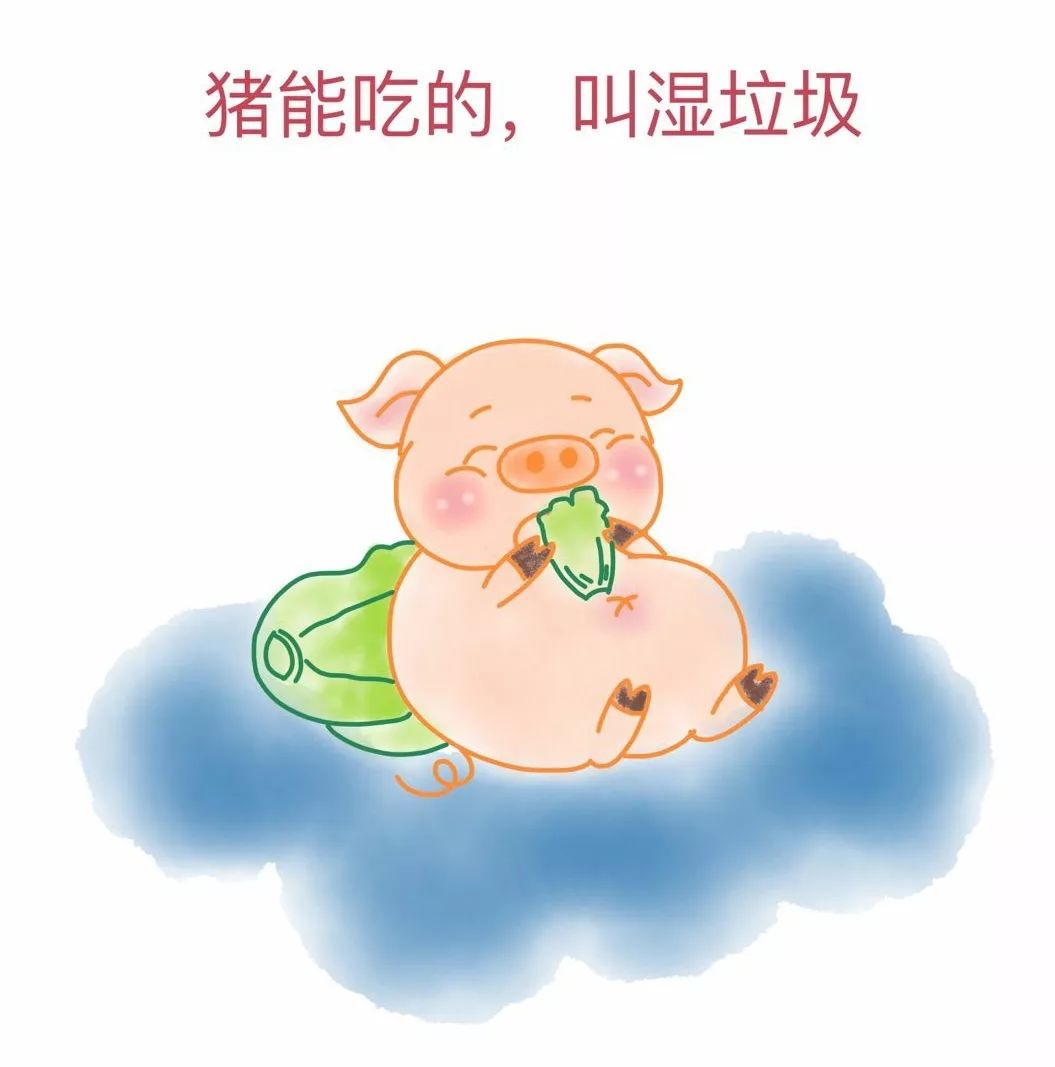 来来来跟小猪猪学学垃圾分类