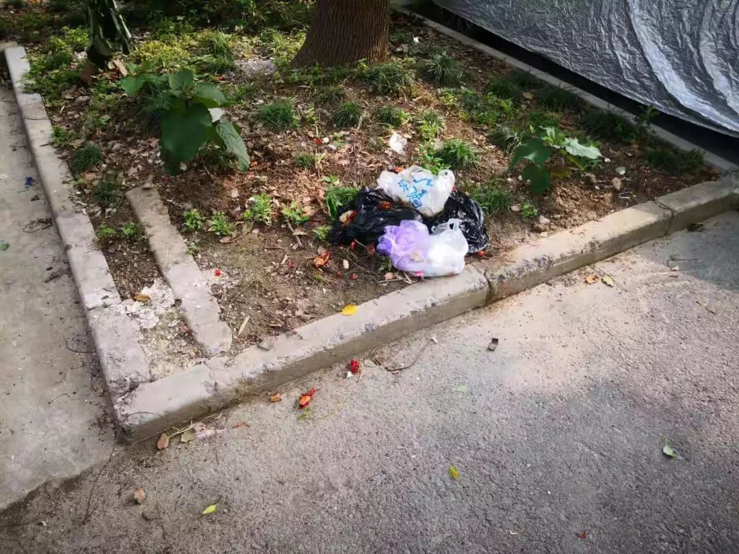 居民来信垃圾投放点减少就可以乱扔垃圾了吗