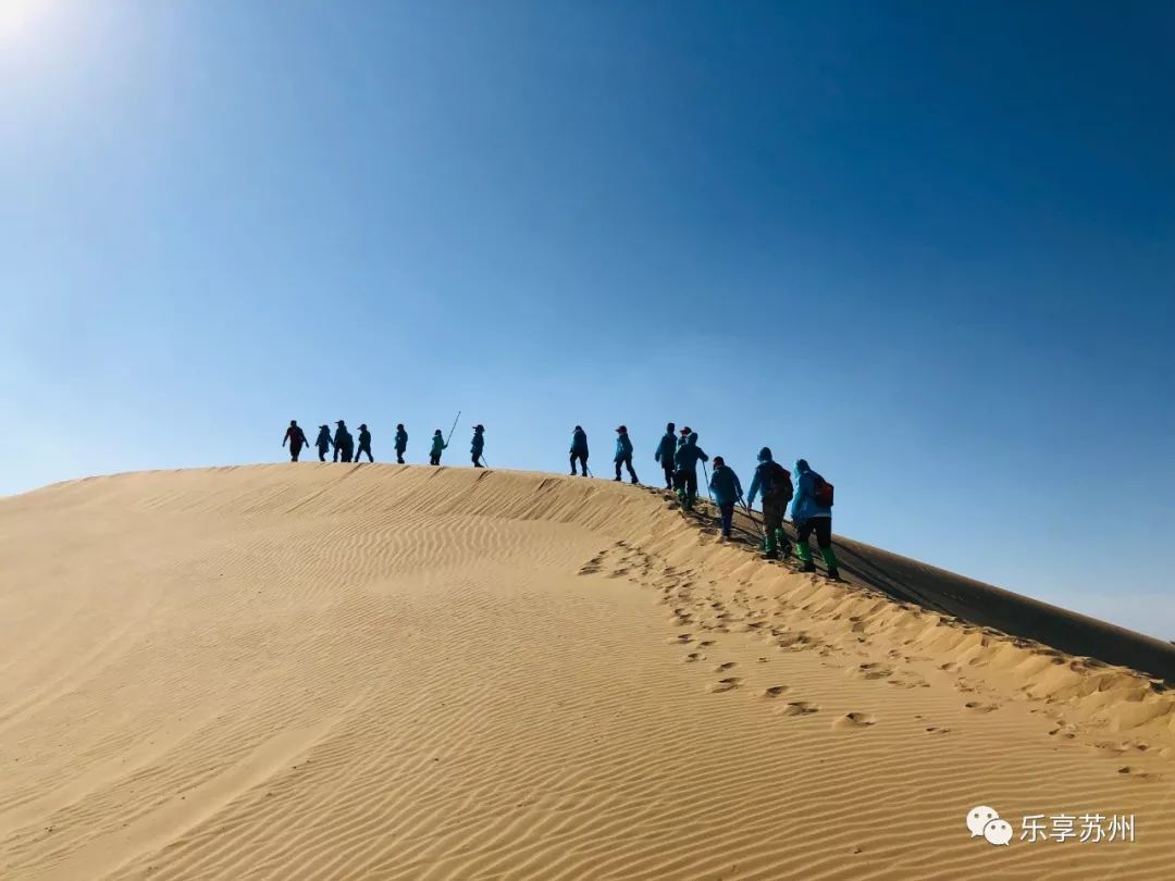 读万卷书行万里路乐享苏州暑期研学单日可定制夏令营多日合辑