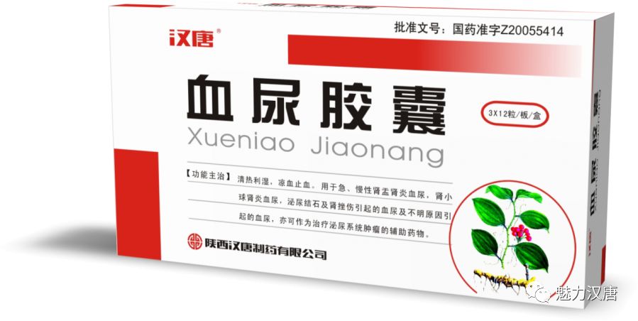 10,肾复康胶囊[功能主治]:清热利尿,益肾化浊.