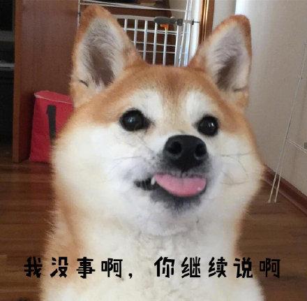 柴犬表情包