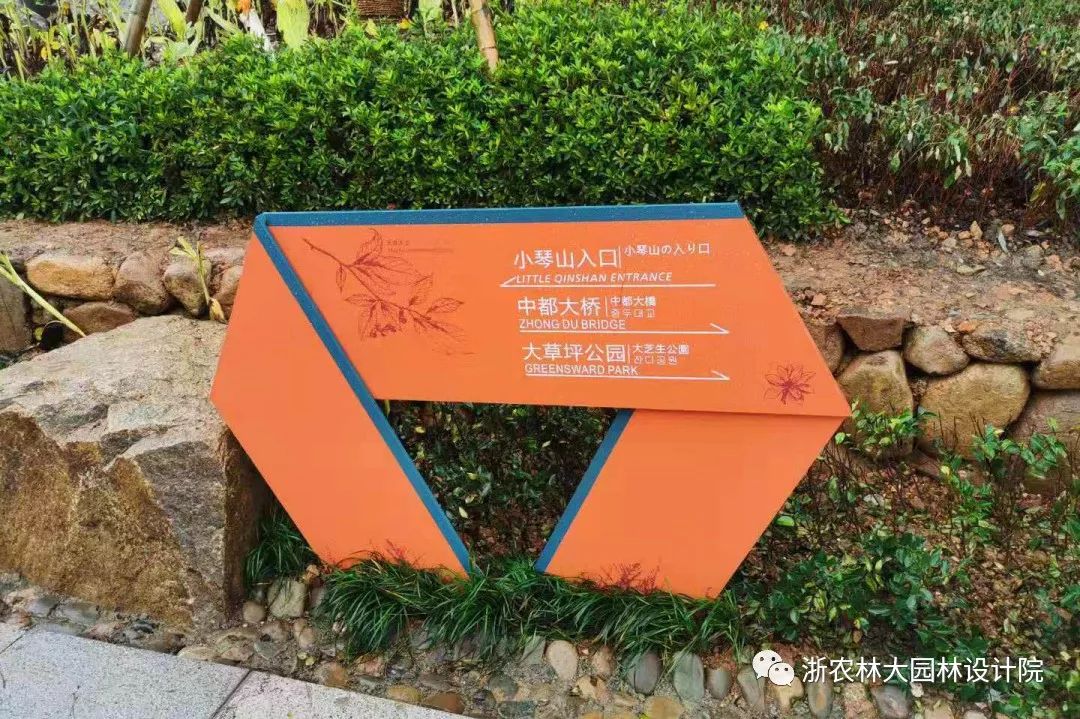 风与影的交融青山湖影吴越风行的青山湖绿道山水一色