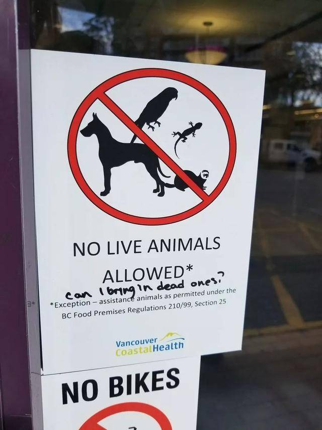 温哥华网友纷纷质疑除了导盲犬商场超市允许带大狗进入吗