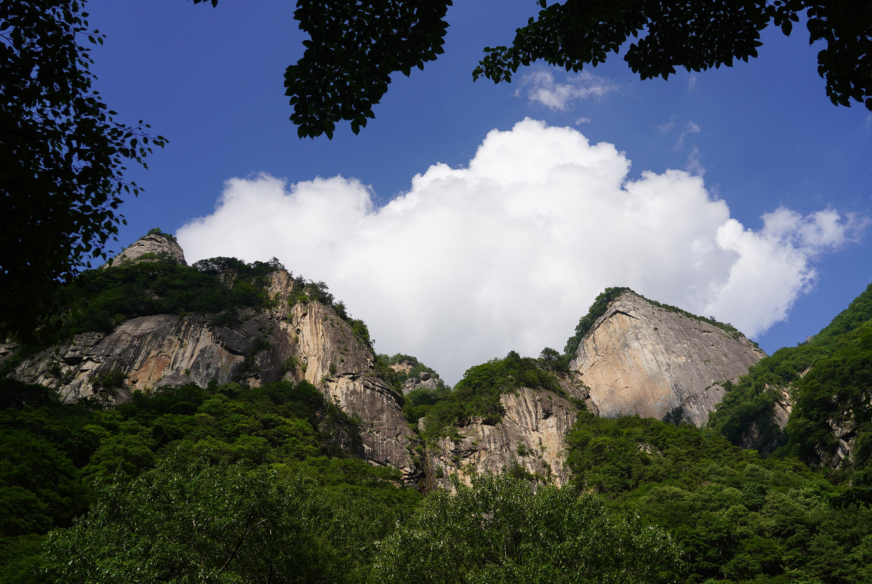 枣阳青峰岭图片