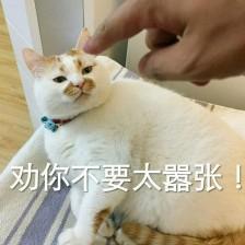 猫咪威胁表情包